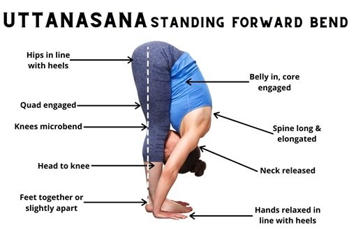 Uttanasana
